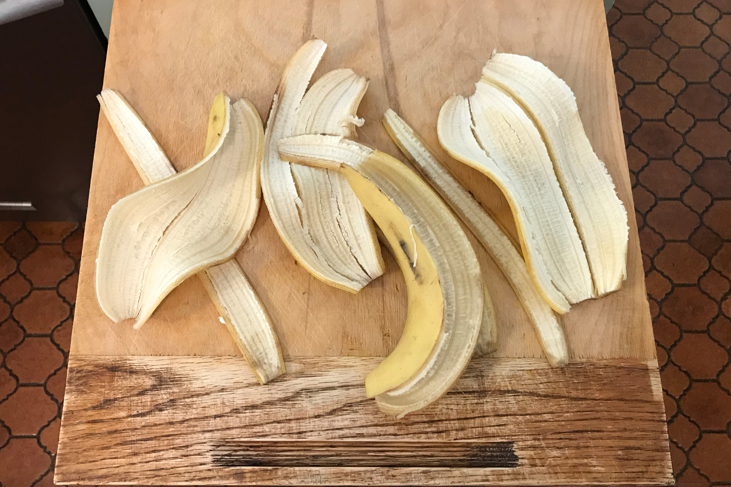 Banana peels without the fruit inside. This is the first step in a recipe for banana peel bacon, a polarizing fake meat dish.