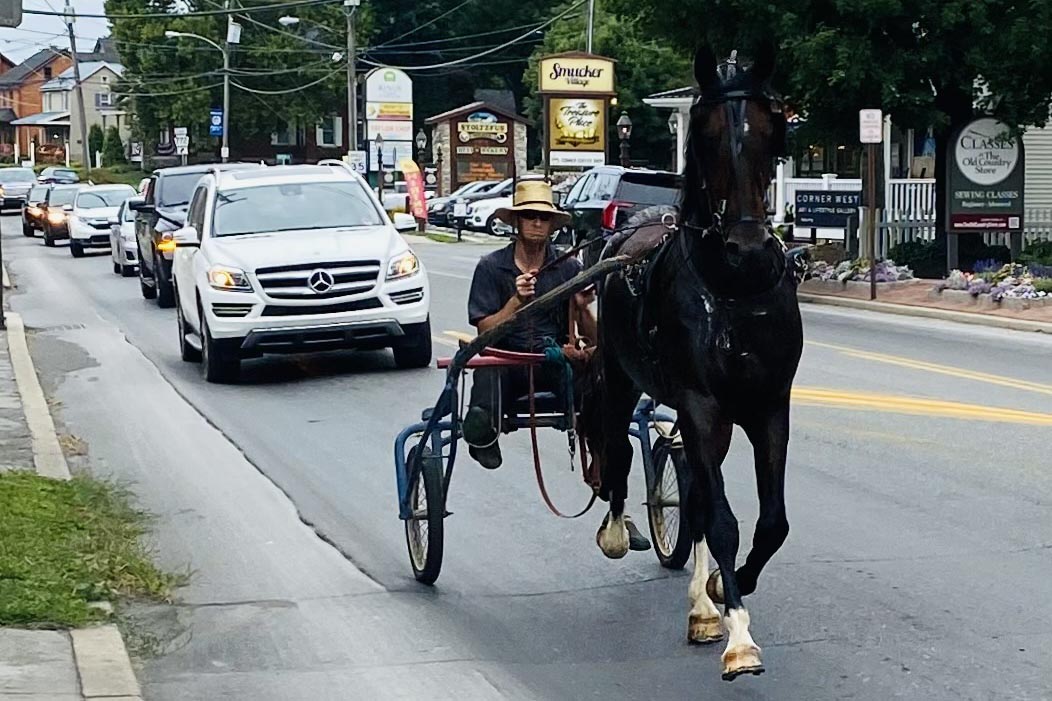 A local Amish man guides his buggy through the middle of Intercourse, PA