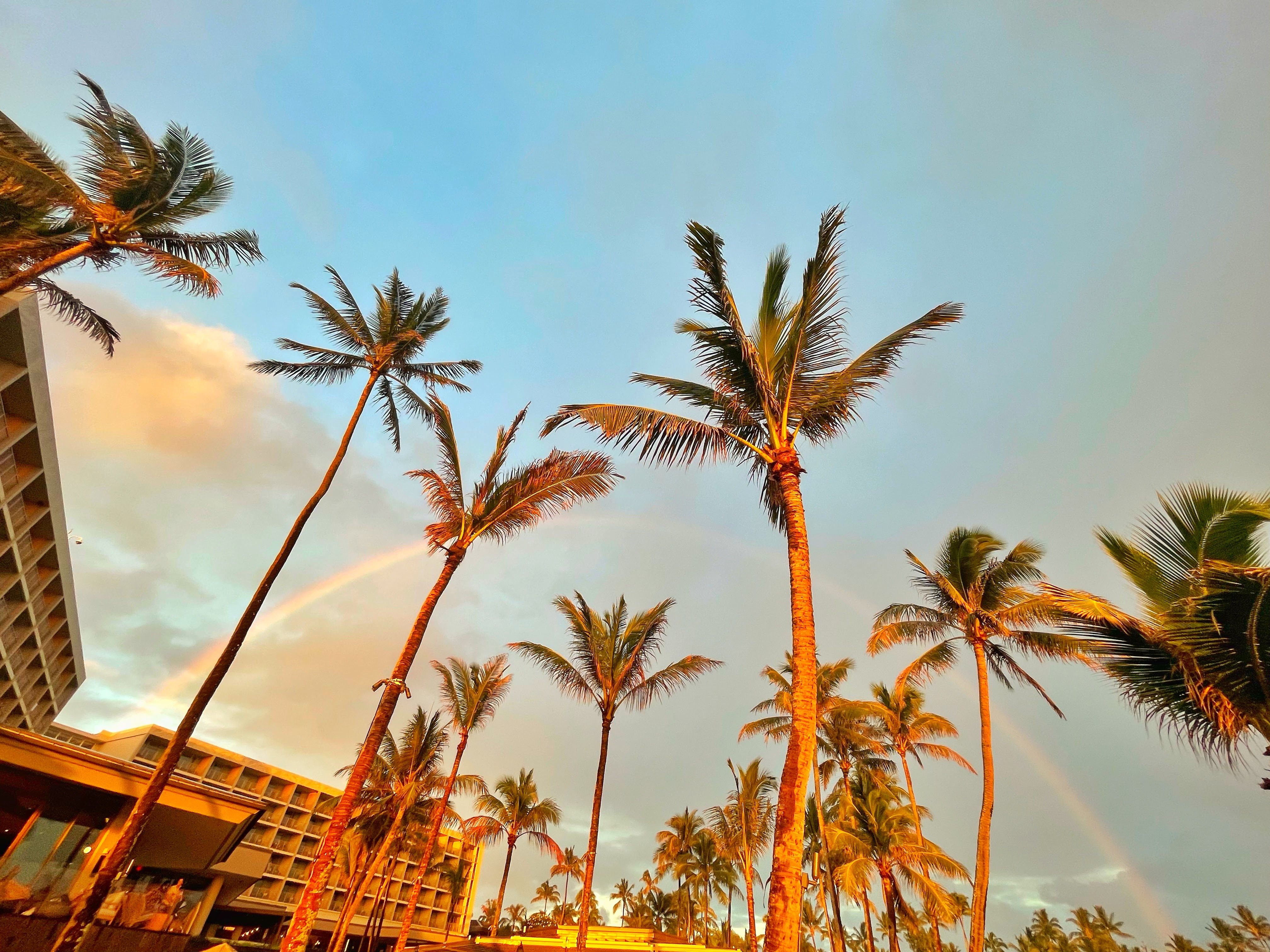 A rainbow appears over the palm trees at Turtle Bay Resort on the North Shore of Oahu