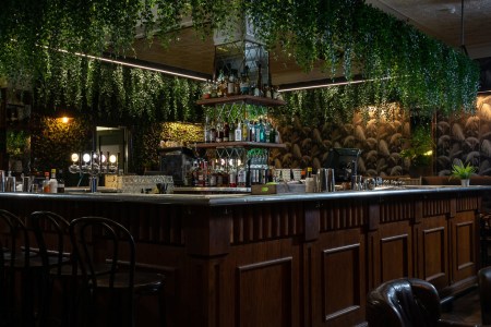 Inside Jungle, a popular bar in Reykjavik
