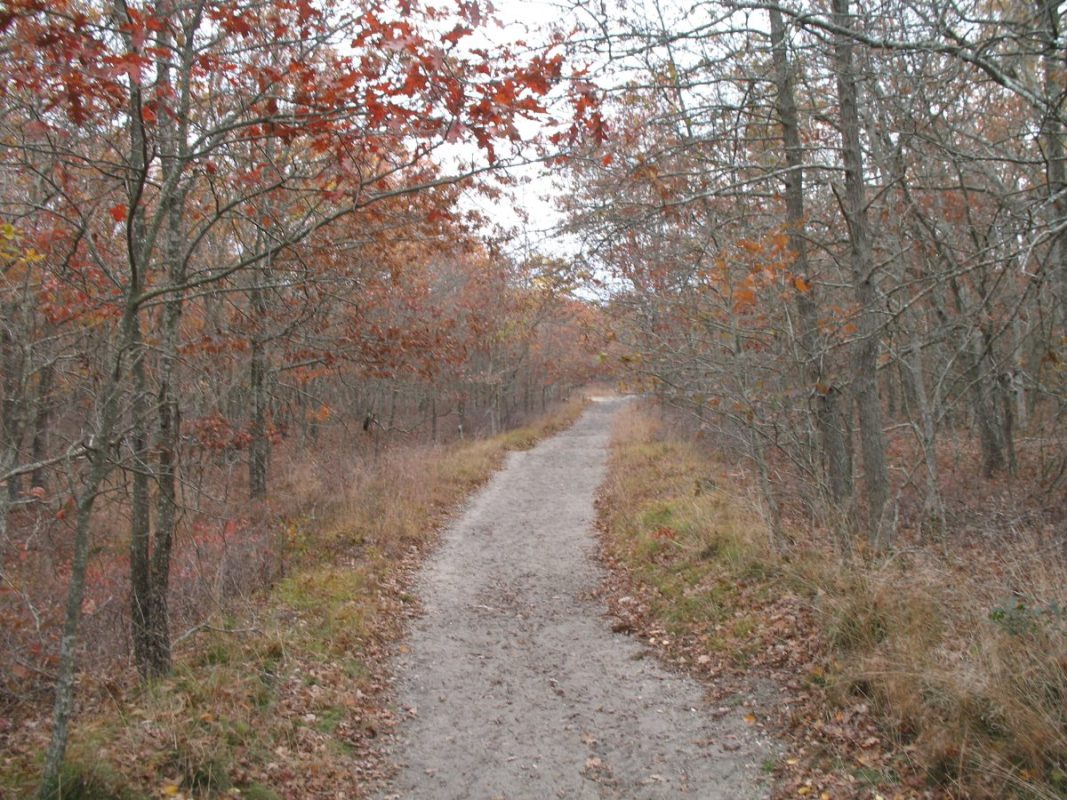 Southampton trail