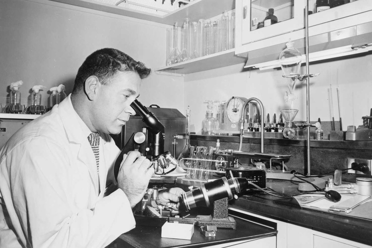 Henry Isenberg, the chief microbiologist, examines a specimen of sperm at the Long Island Jewish Hospital Infertility Clinic.