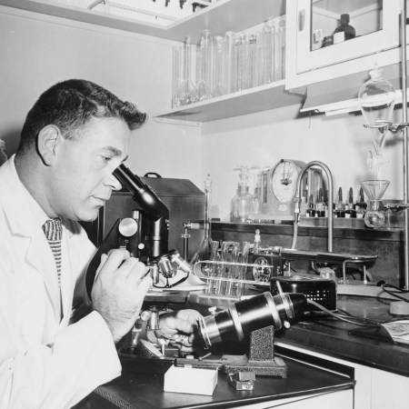 Henry Isenberg, the chief microbiologist, examines a specimen of sperm at the Long Island Jewish Hospital Infertility Clinic.