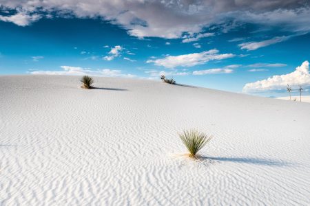 White Sands