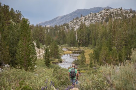 A pair of hikers walk through the wilderness towards a river surrounded by green trees with hills in the background