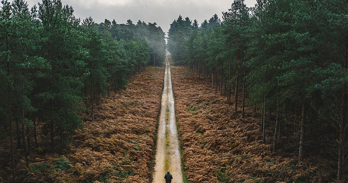 A man walks alone on a trail through the woods.