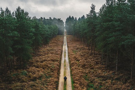 A man walks alone on a trail through the woods.