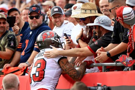 Mike Evans of the Tampa Bay Buccaneers celebrates with fans after scoring a touchdown