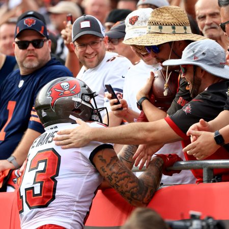 Mike Evans of the Tampa Bay Buccaneers celebrates with fans after scoring a touchdown