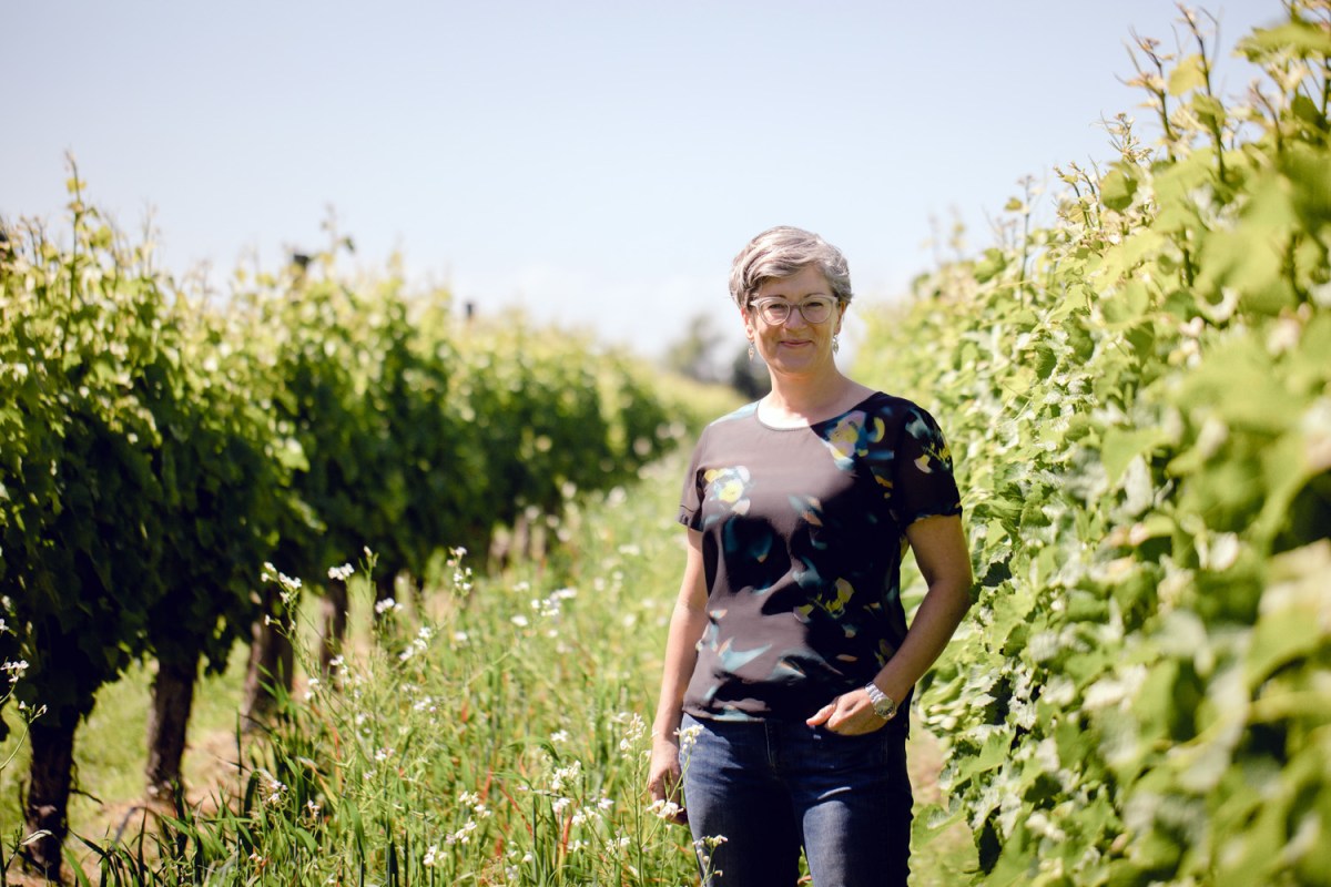 2021 New Zealand Winemaker of the Year Jules Taylor in her Marlborough vineyards