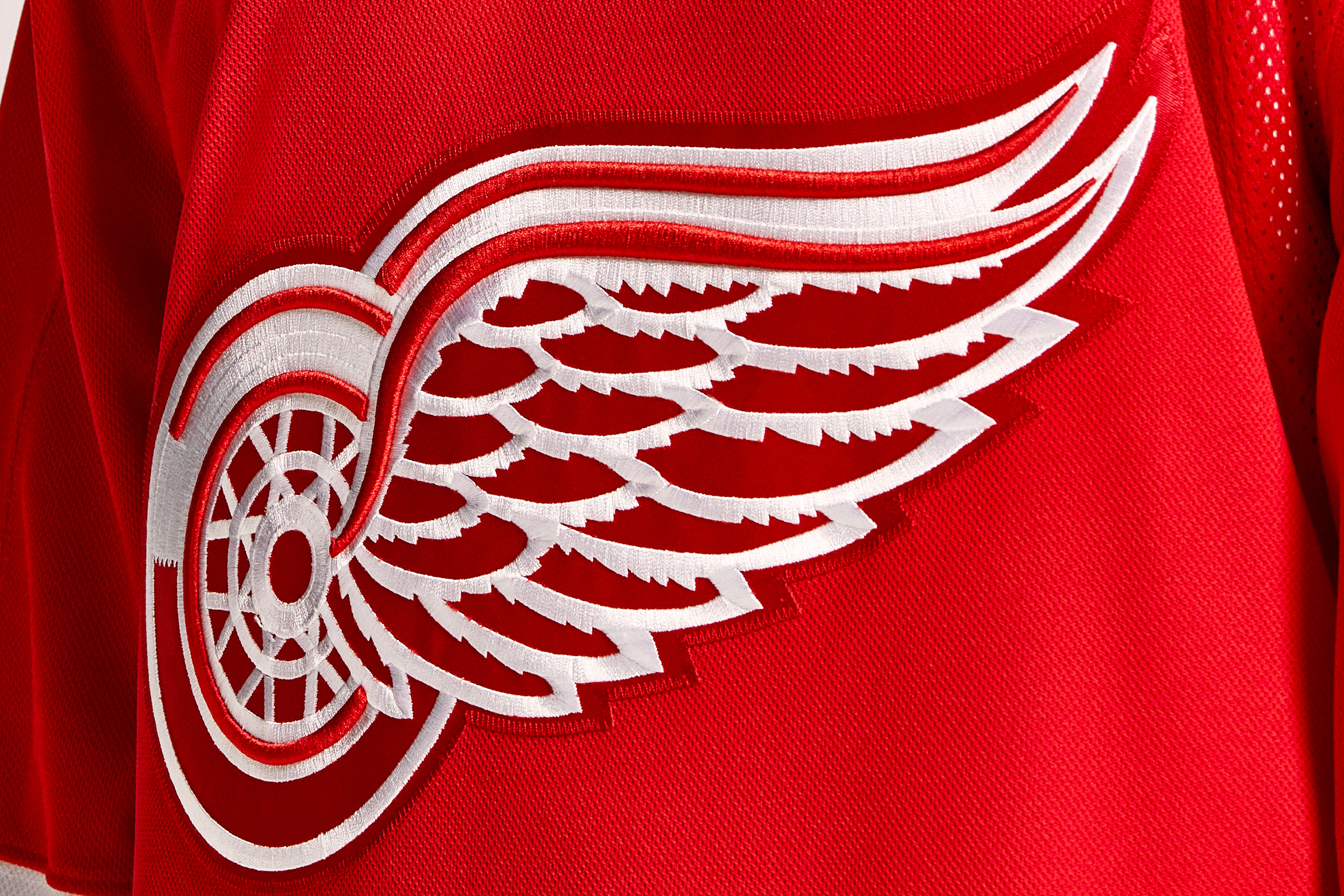 The Red Wings' jersey.