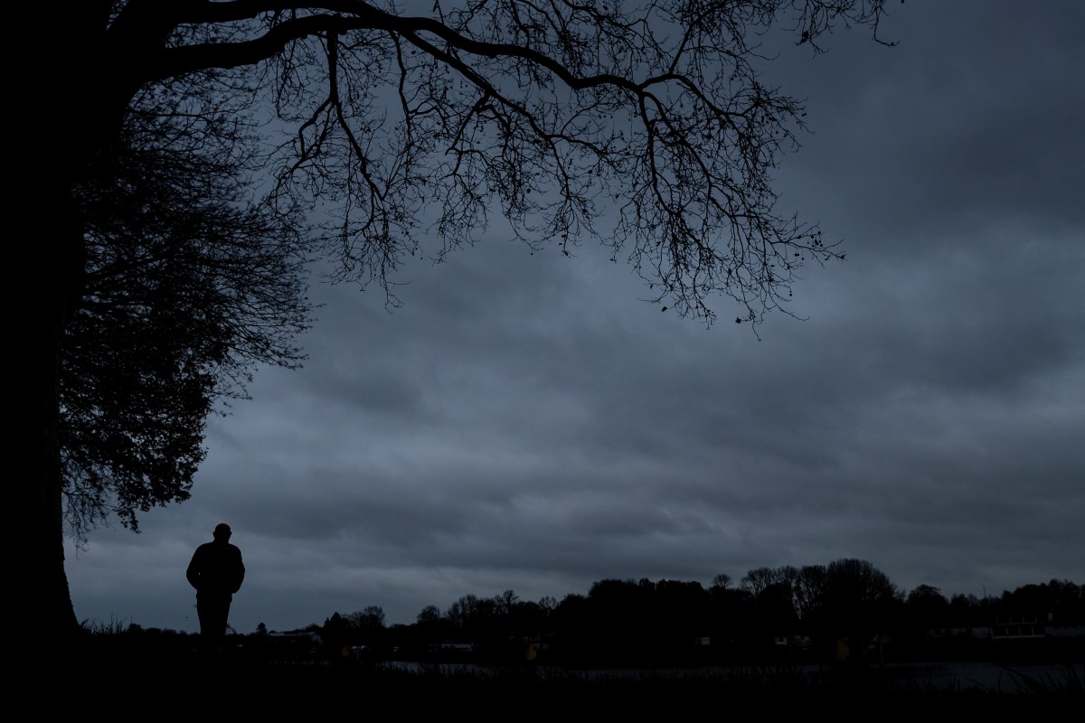 A man walking at dusk below a leafless tree.