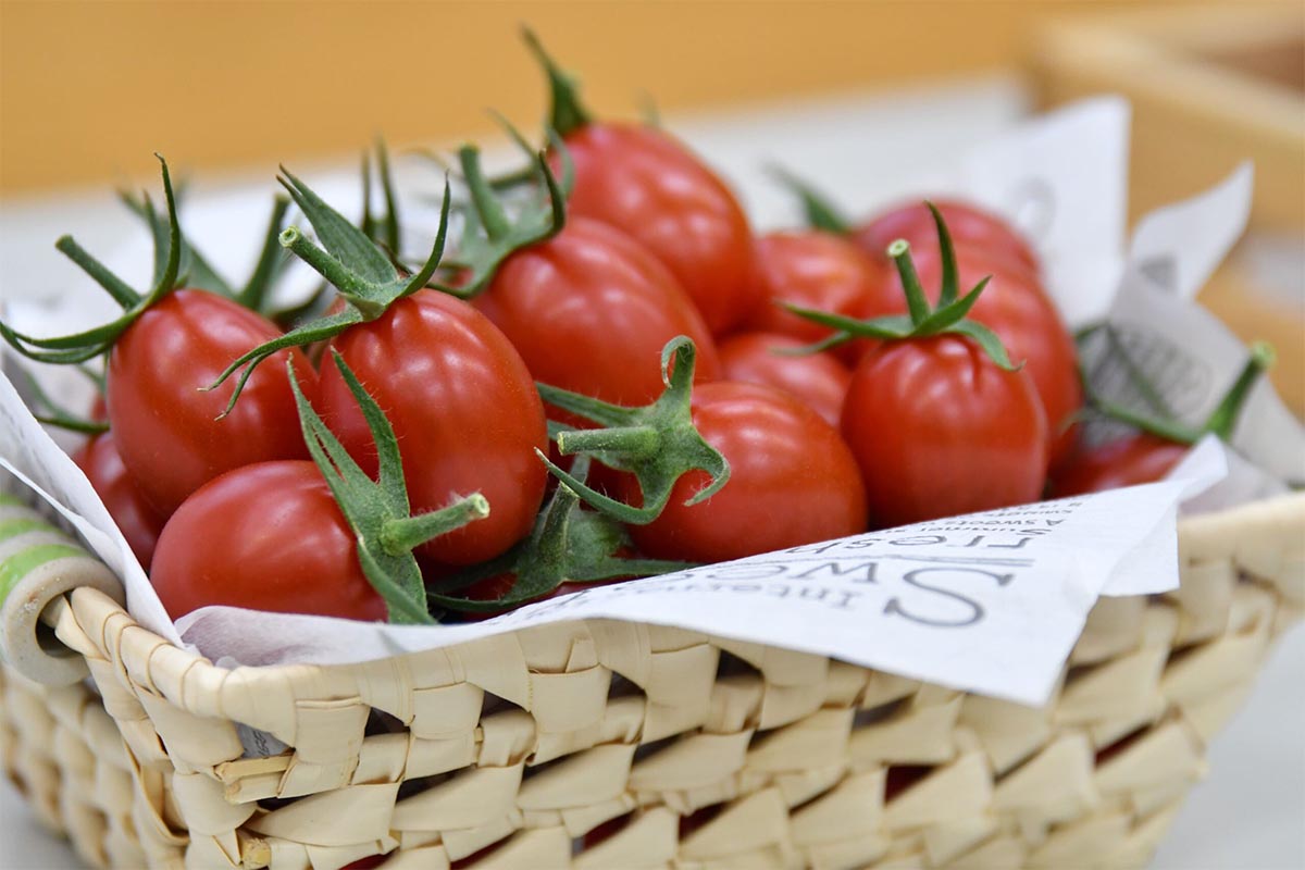 The Sicilian Rouge High GABA tomato, a CRISPR gene-edited food now on sale