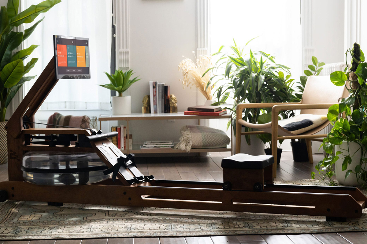 ergatta rower in a living room