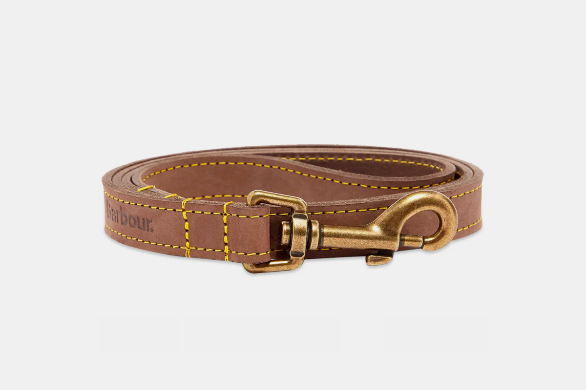 Leather Dog Lead in Black by Barbour