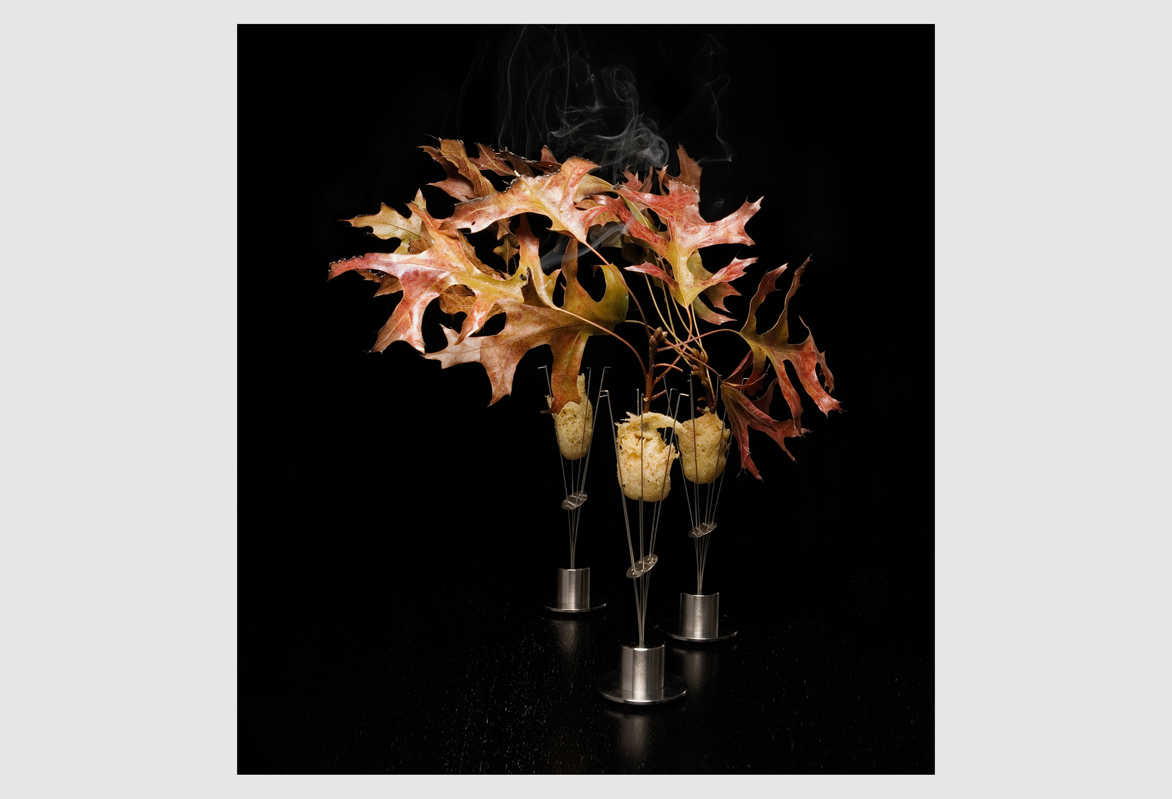 The pheasant from Grant Achatz's Alinea, served with burning oak leaves