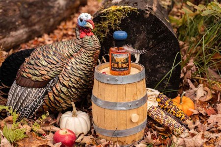 A turkey in a forest near a bottle of Bird of Courage whiskey, a Thanksgiving-themed new spirit from Tamworth Distillery in New Hampshire