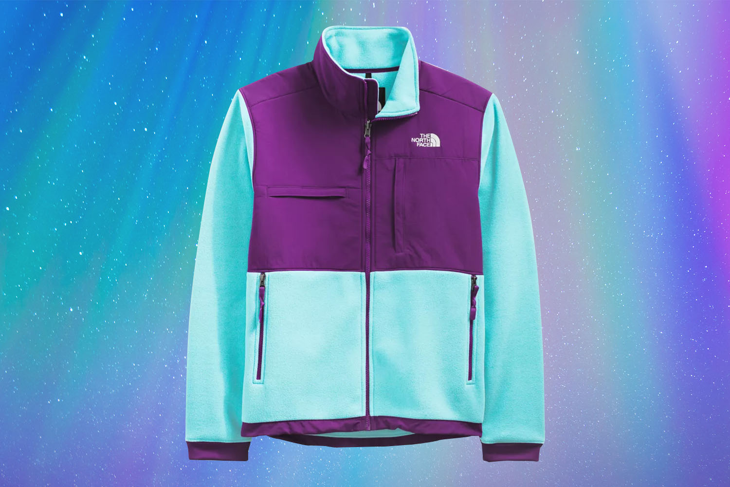 The North Face Men’s Denali 2 Jacket