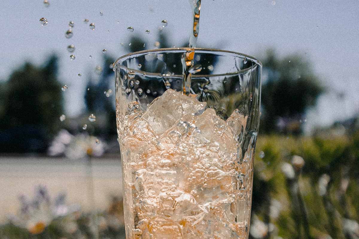 Soda splashing down on a glass of ice sitting on a table outside on a sunny day. Sugar-sweetened beverages like soda may cause some forms of liver damage, according to a new study.
