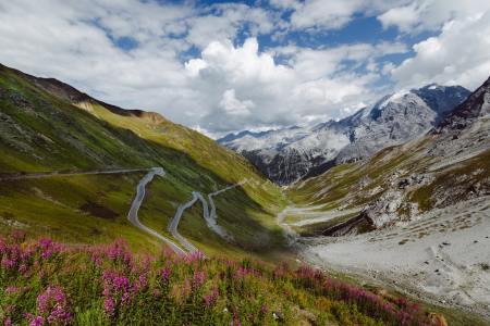 Stelvio Pass