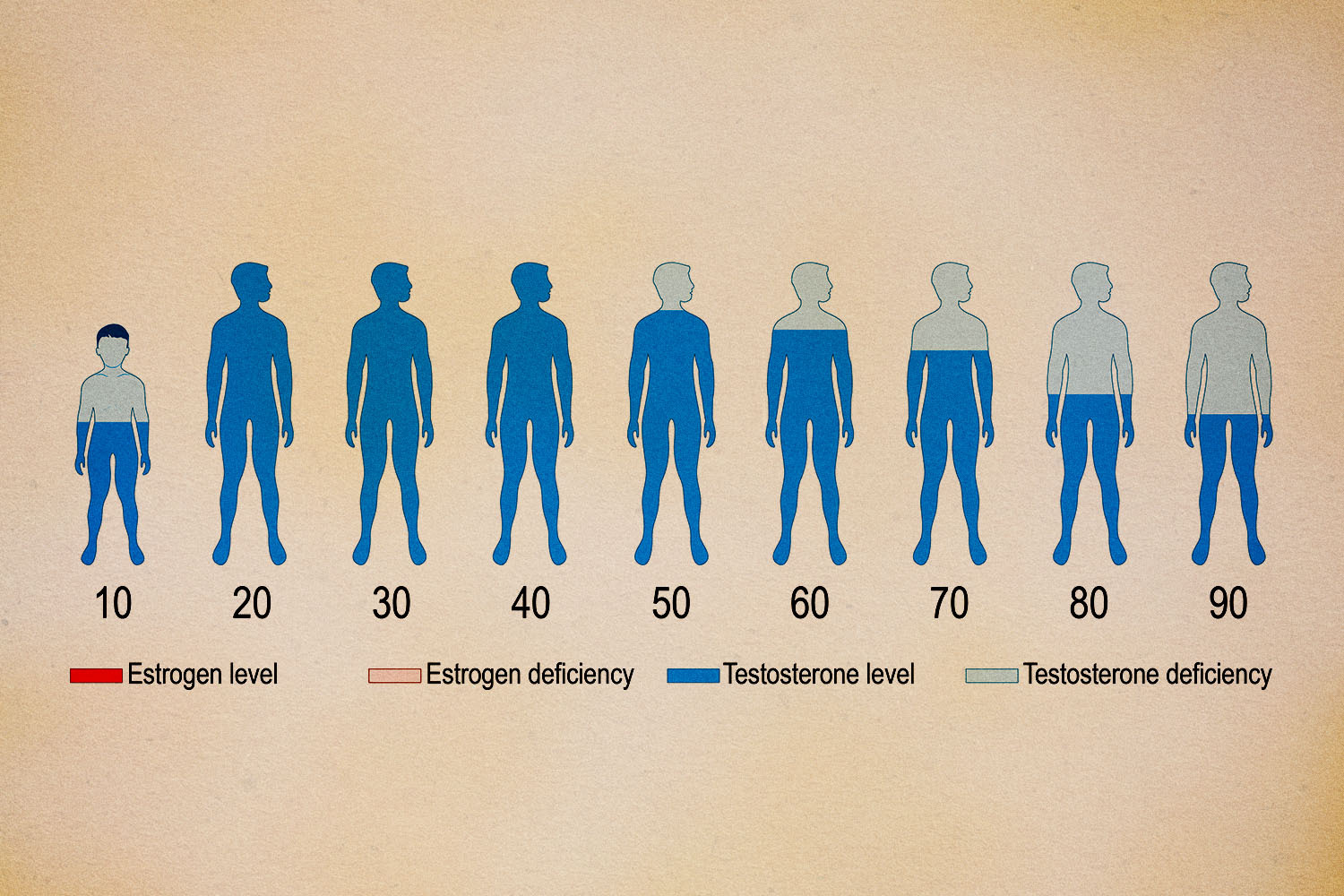 An infograph shows the decline in testosterone levels men experience with age