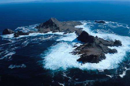 SE Farallon Island