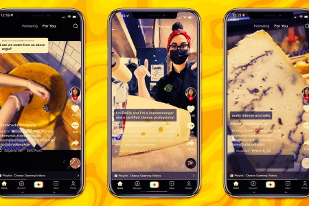 All of your burning questions about cheese, answered. 