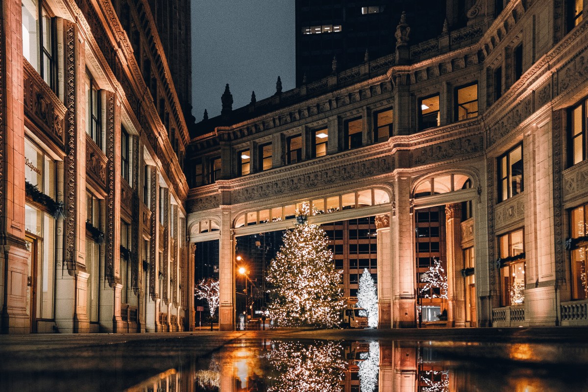a christmas tree lit up at night in chicago