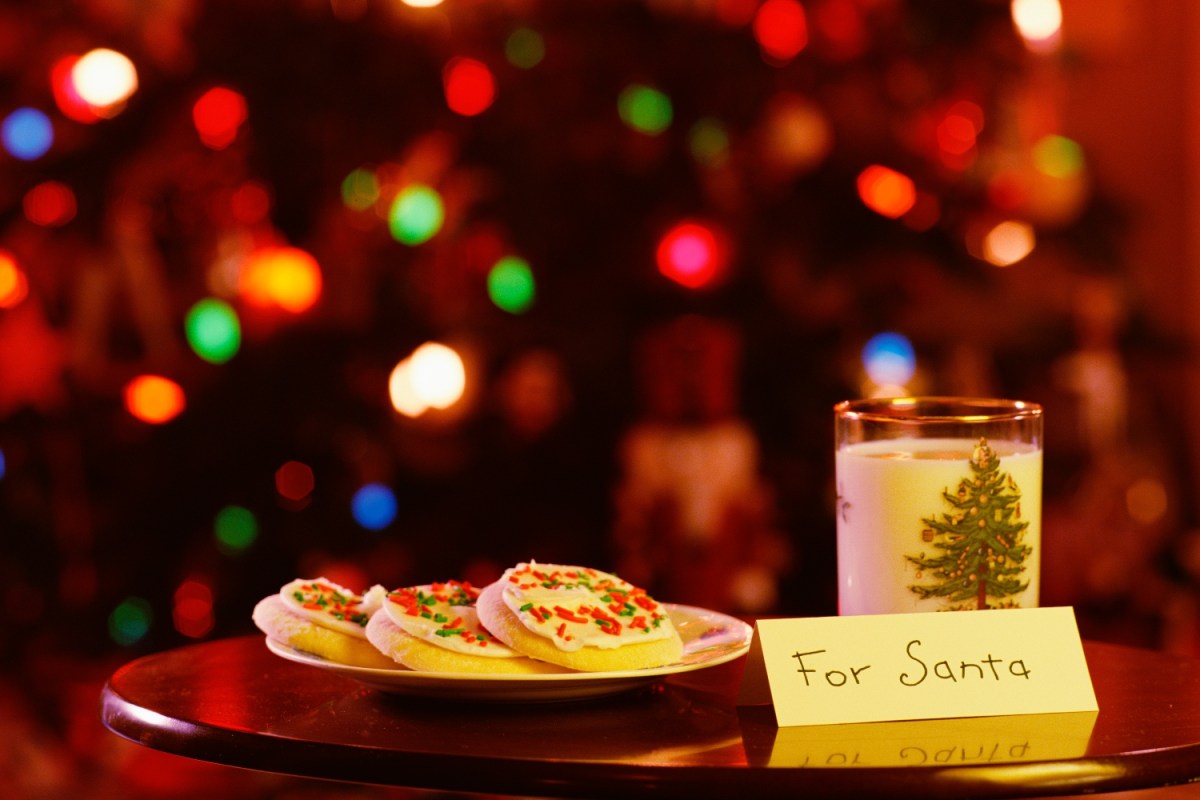 Cookies for Santa displayed in front of a Christmas tree
