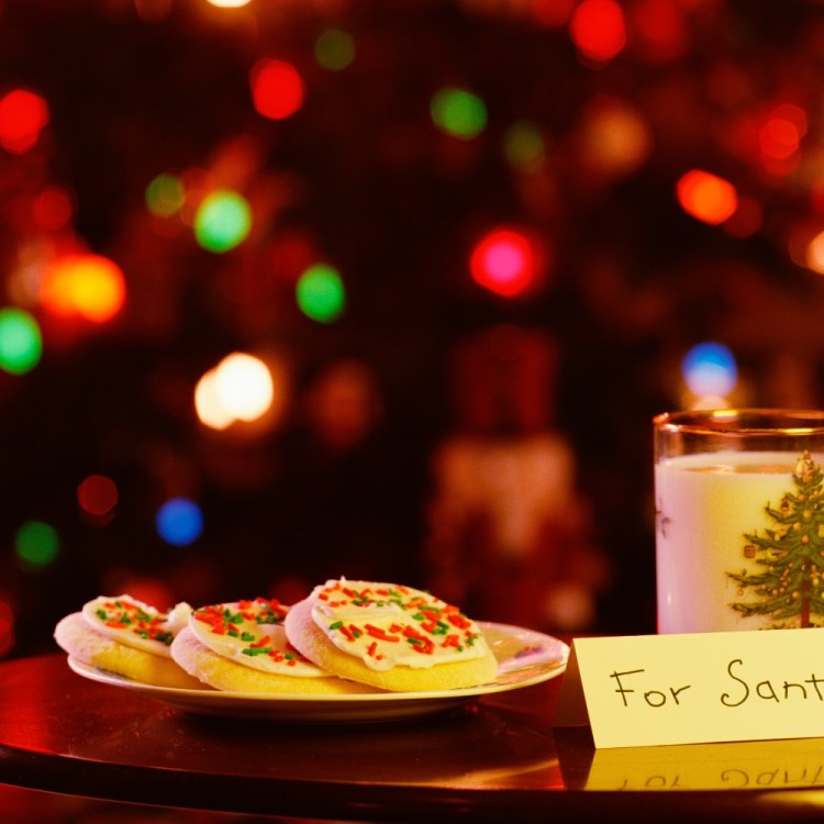 Cookies for Santa displayed in front of a Christmas tree
