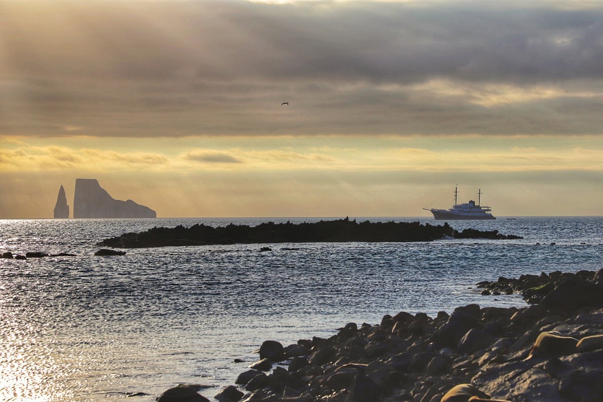 An expedition vessel called the M/V Evolution meanders its way through the Galápagos Islands