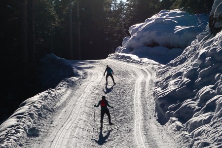 A couple cross-county skiing through the woods.