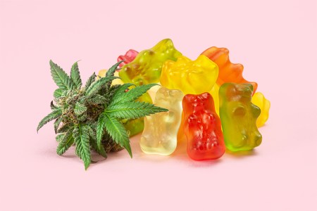 Gummy bears next to a cannabis plant.