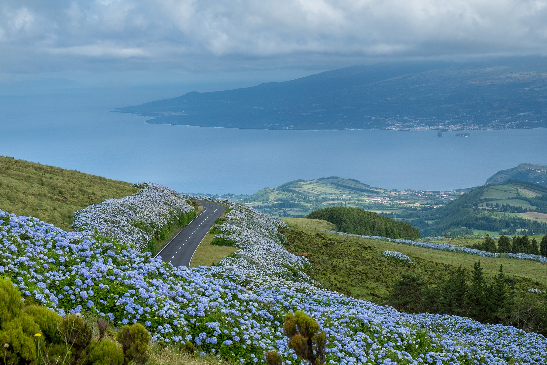Faial Island in the Azores