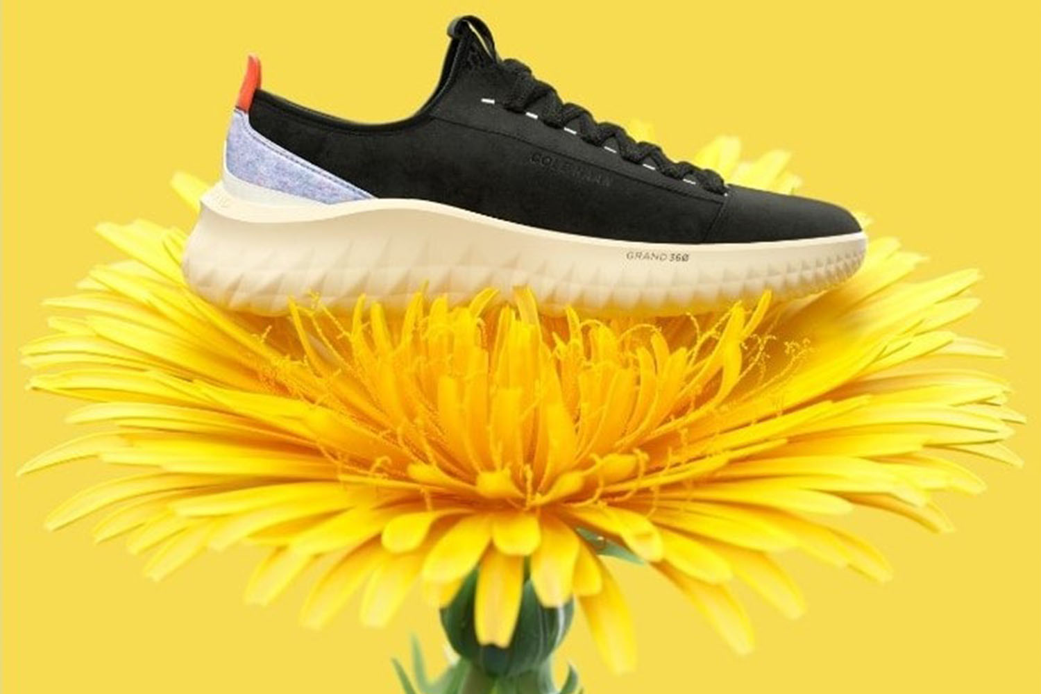 a pair of black sneakers on a sunflower