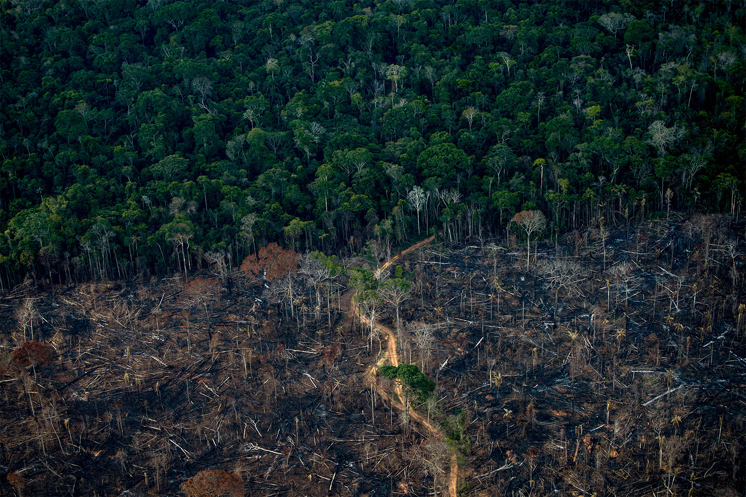 A deforested area of the Amazon rainforest in Lábrea, Brazil. A new report from the Intergovernmental Panel on Climate Change lays out how warming temperatures are causing more destruction than expected and how governments around the world are lacking their response to the climate crisis.