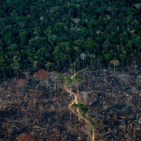 A deforested area of the Amazon rainforest in Lábrea, Brazil. A new report from the Intergovernmental Panel on Climate Change lays out how warming temperatures are causing more destruction than expected and how governments around the world are lacking their response to the climate crisis.