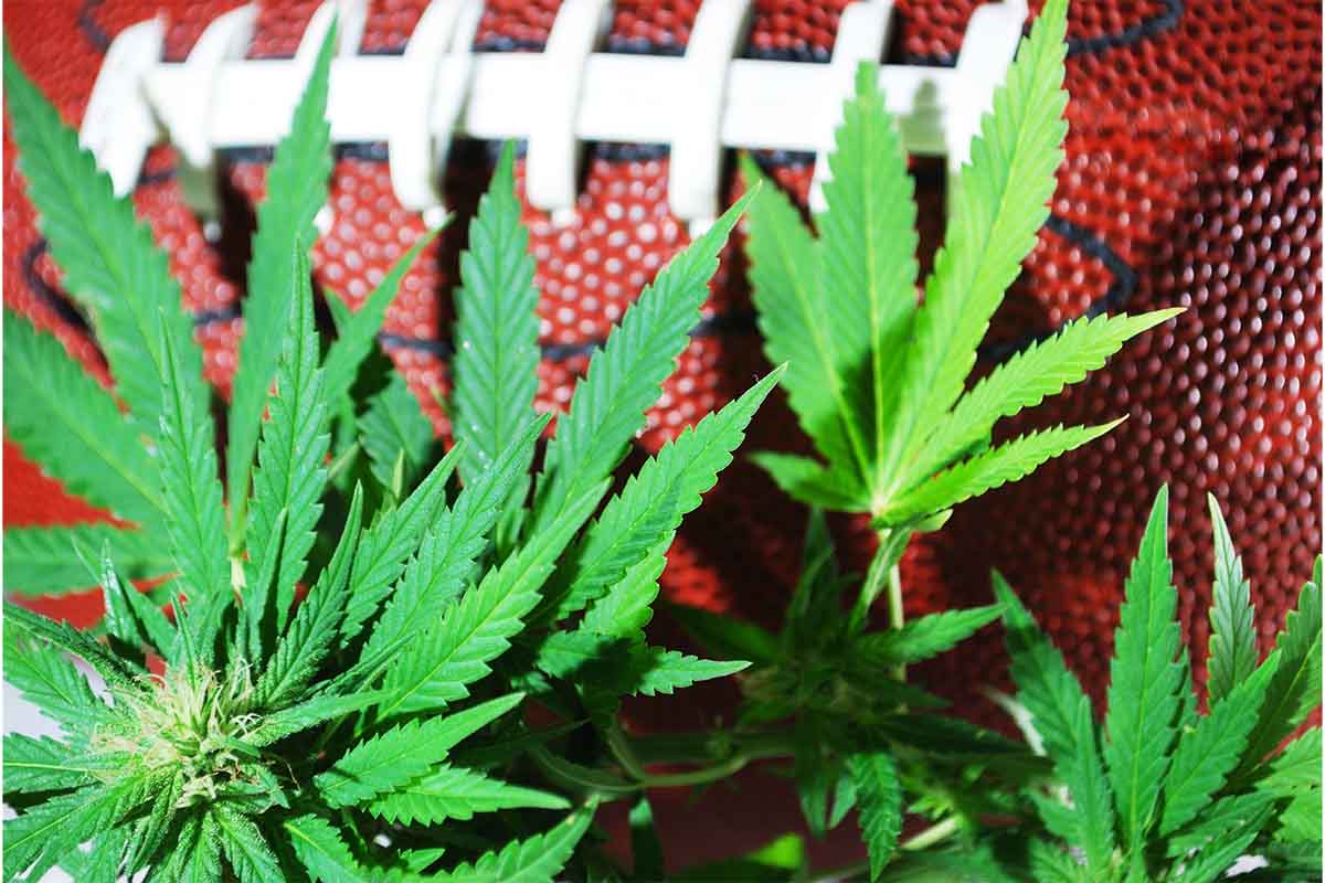 A close up of a football with a marijuana plant. After years of shunning cannabis, the NFL is now funding studies on it for pain management.
