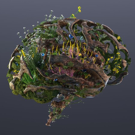 Plant life growing in the shape of a brain. In this story, we look at how focusing on "cognitive fitness" can help as you age, potentially thwarting mental decline like Alzheimer's disease.