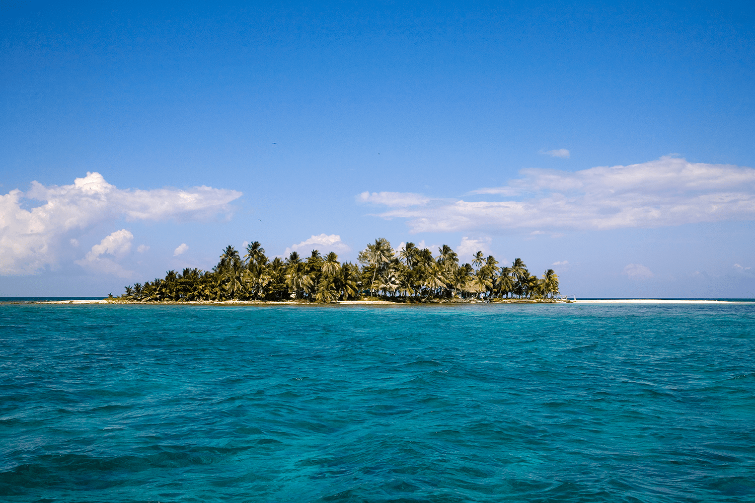 Should You Buy an Island and Establish a Micronation? These People Did.