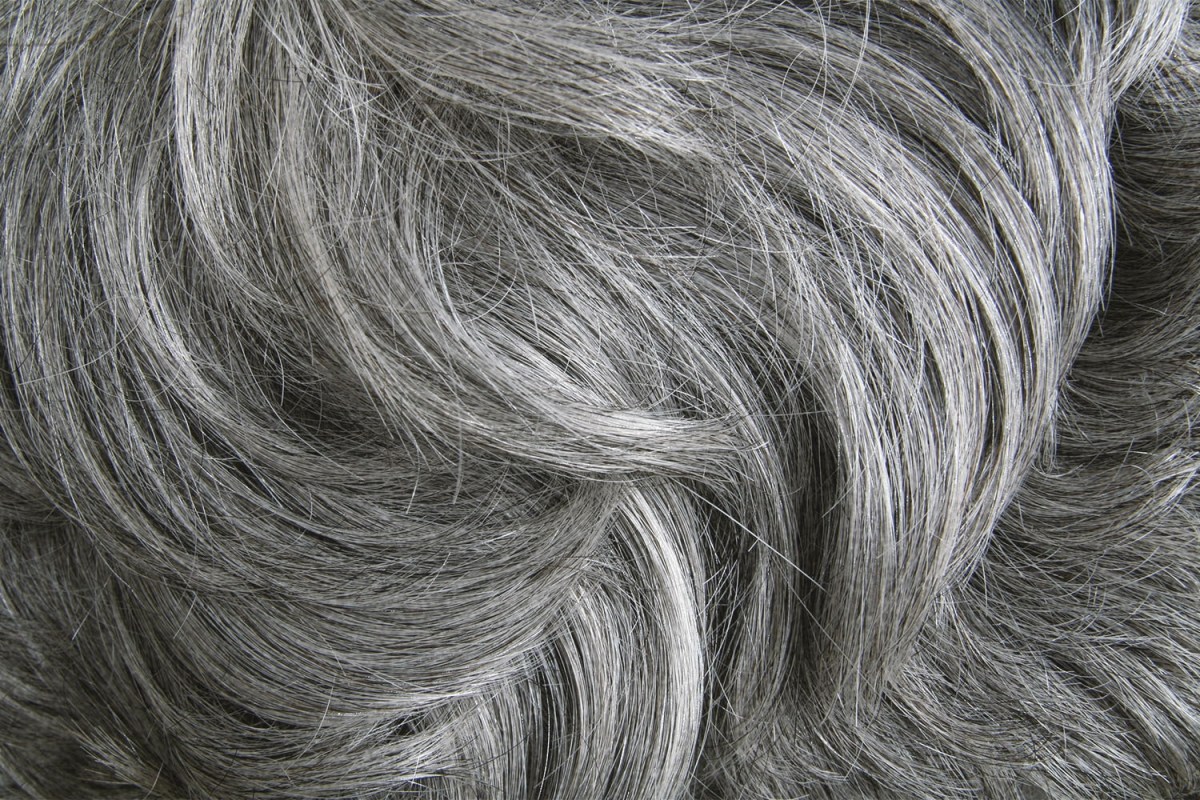Close of up of wavy gray hair