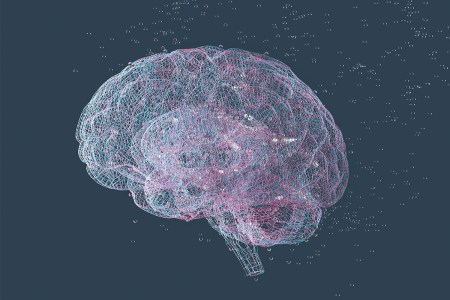 An illustration of the brain.