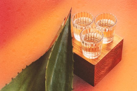 three glasses of mezcal and an agave plant on a table. Mezcal is a rising spirits category, but fans and professionals in the industry aren't sure how it'll handle success.