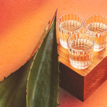 three glasses of mezcal and an agave plant on a table. Mezcal is a rising spirits category, but fans and professionals in the industry aren't sure how it'll handle success.