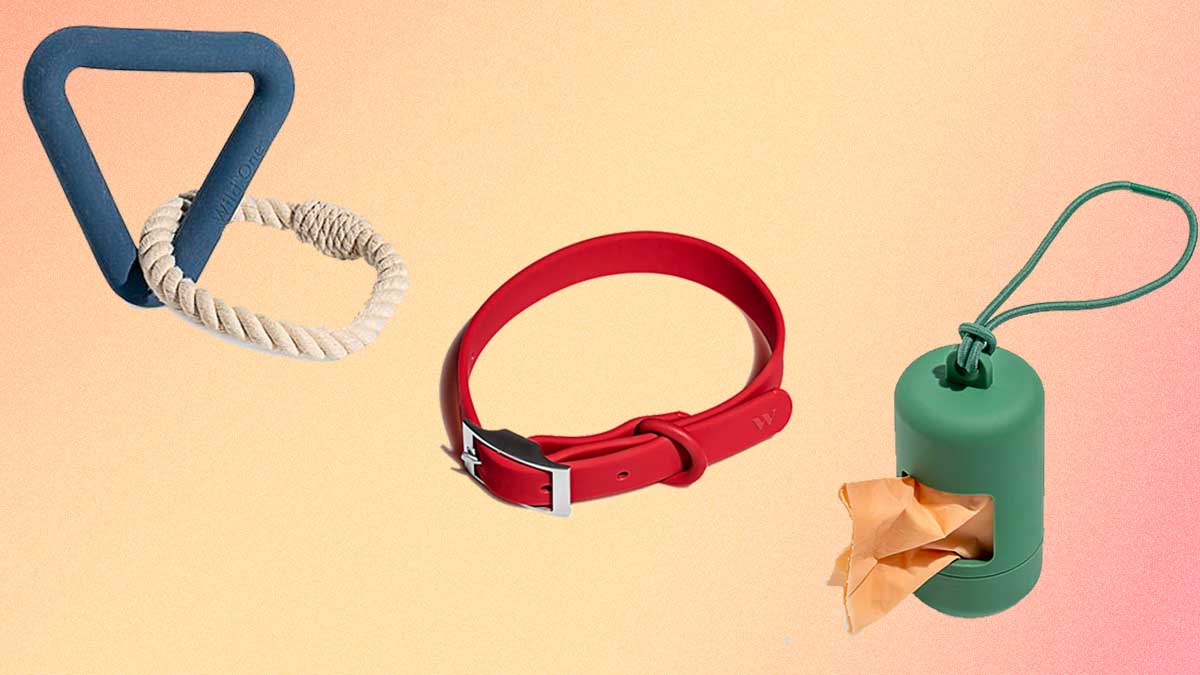 Take Up to 30% Off Wild One’s Stylish Selection of Dog Gear and Toys