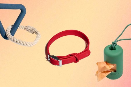 Take Up to 30% Off Wild One’s Stylish Selection of Dog Gear and Toys