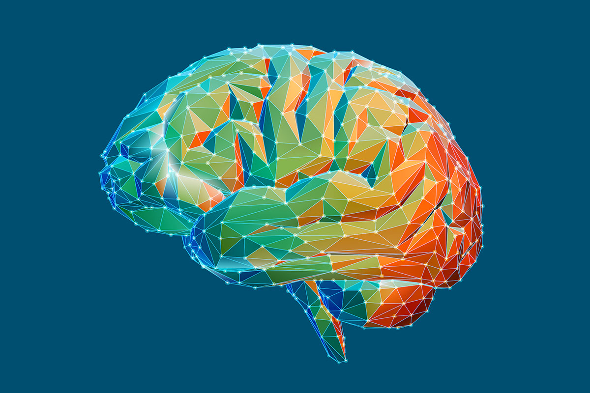 A digital schematic of a brain.