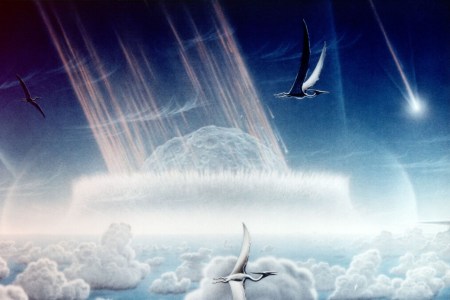 Asteroid killing dinosaurs