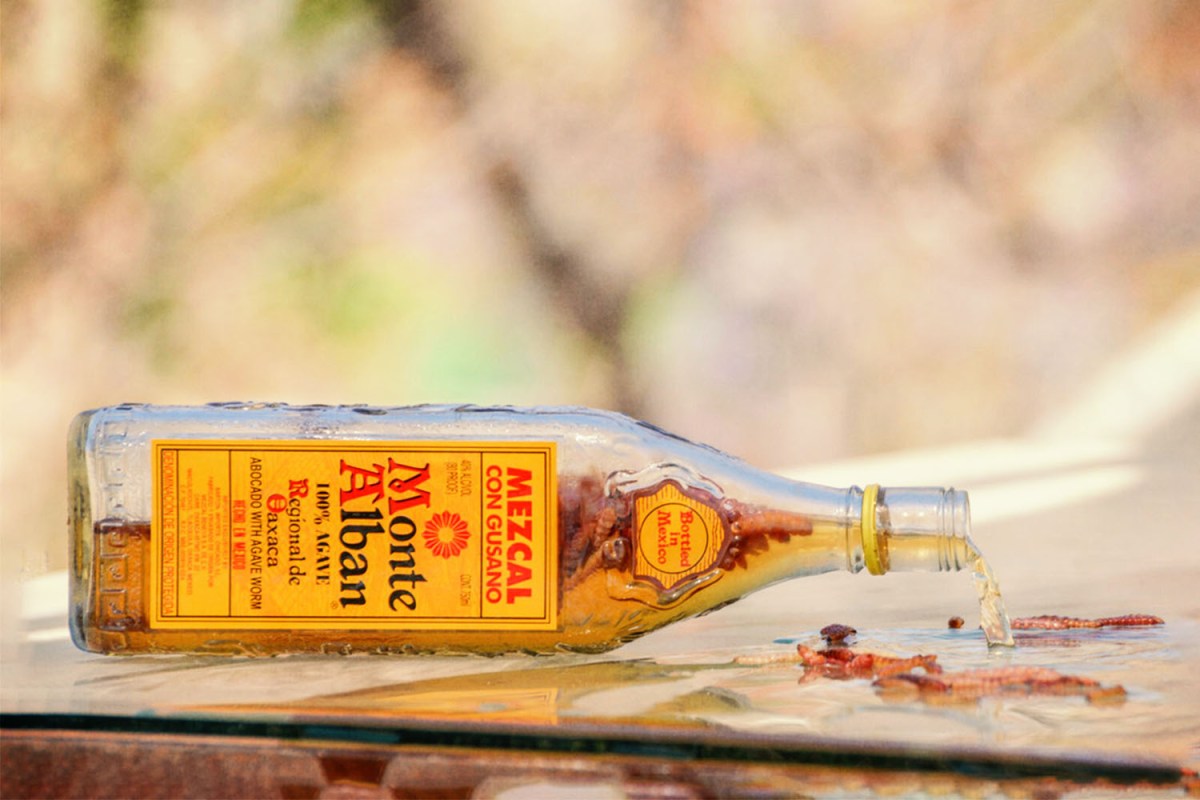 Uncovering the Reason Behind the Mexican Mezcal Worm InsideHook