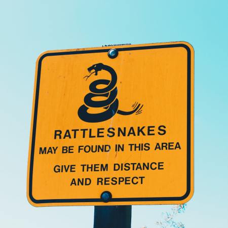 Rattlesnake sign